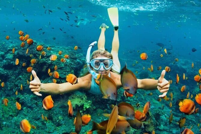 Cham Island Daily-Snorkeling(Optional:Pick up at Cua Dai Port) - Practical Tips for Travelers