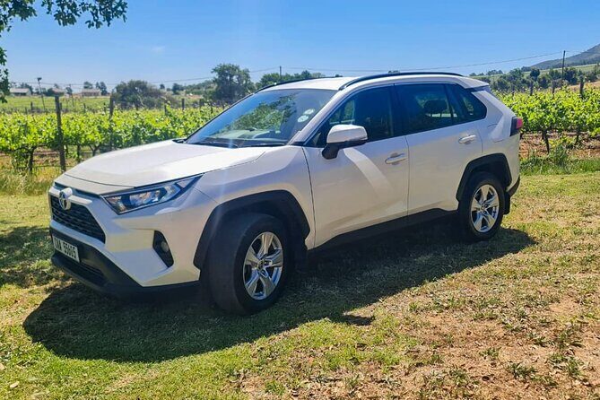 Chauffeur Drive in Cape Town - What to Expect From the Tour