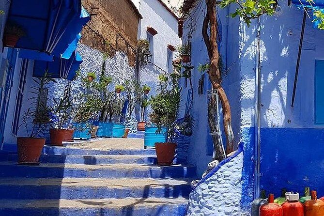 Chefchaouen day trip from Fez - What Travelers Say: Authentic Feedback