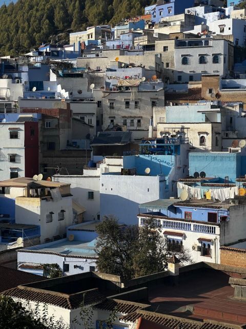 Chefchaouen tour guide - An In-Depth Look at the Chefchaouen Tour