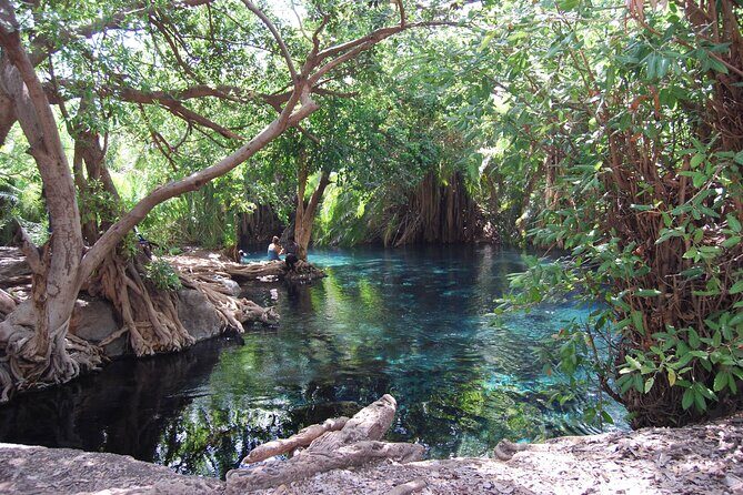 Chemka Hot Springs Day Trip - What You Get: Transportation, Guides, and Fees