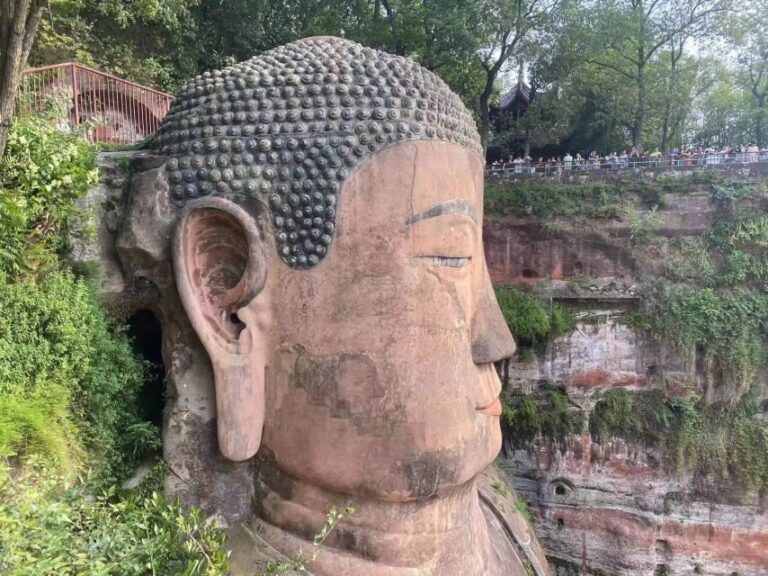 Chengdu: Chengdu Day Trip with Giant Panda and Leshan Buddha - What Makes This Tour Stand Out?