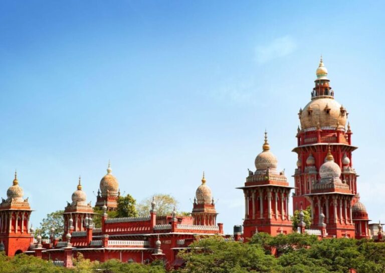 Chennai: Marina Beach and Private Sightseeing Guided Tour - The Experience in Detail