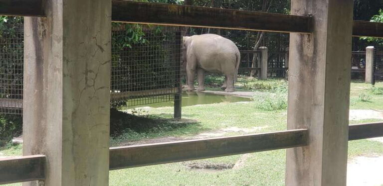 Chi so mountain _ Ta moa zoo_ Bati temple Tour - Deep Dive into the Itinerary