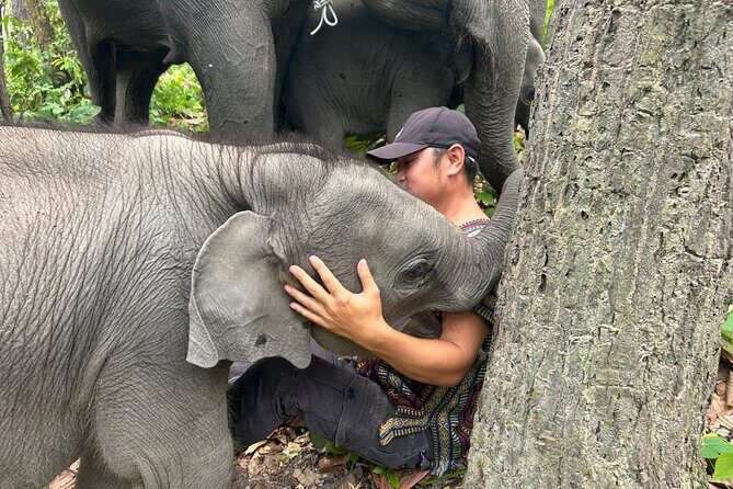 Chiang Mai 1 Day: Elephant Sanctuary, Waterfall & Bamboo Rafting - Who Will Love This Tour?