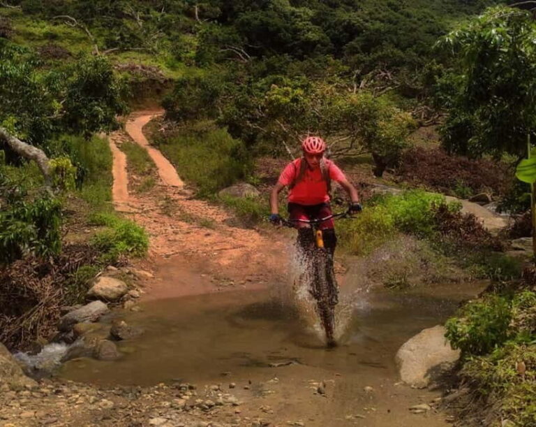 Chiang Mai: 20km Downhill Mountain Biking Challenge Suthep M - What’s Included and What To Bring