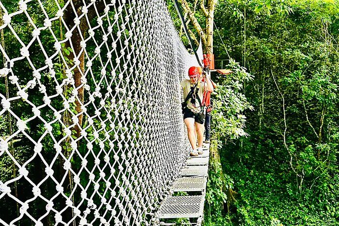 Chiang Mai 3 in 1 Zipline, Elephants and Sticky Waterfall - The Real Experience: What Travelers Say