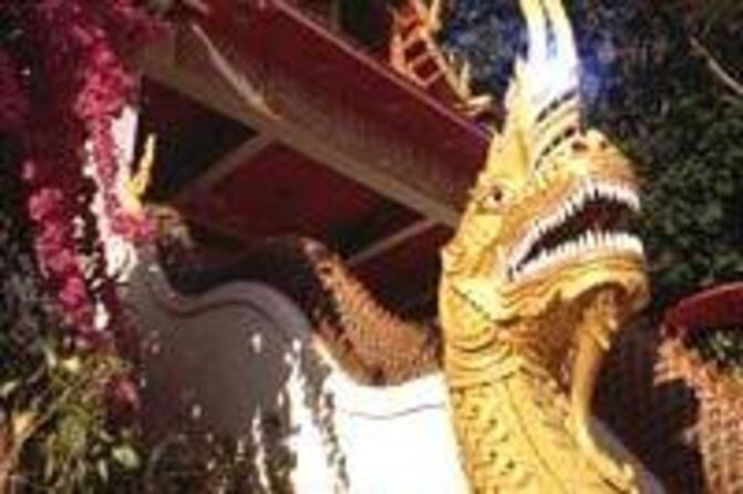 Chiang Mai Airport Departure Private Transfer from Hotel to Airport - Why the Reviews Matter