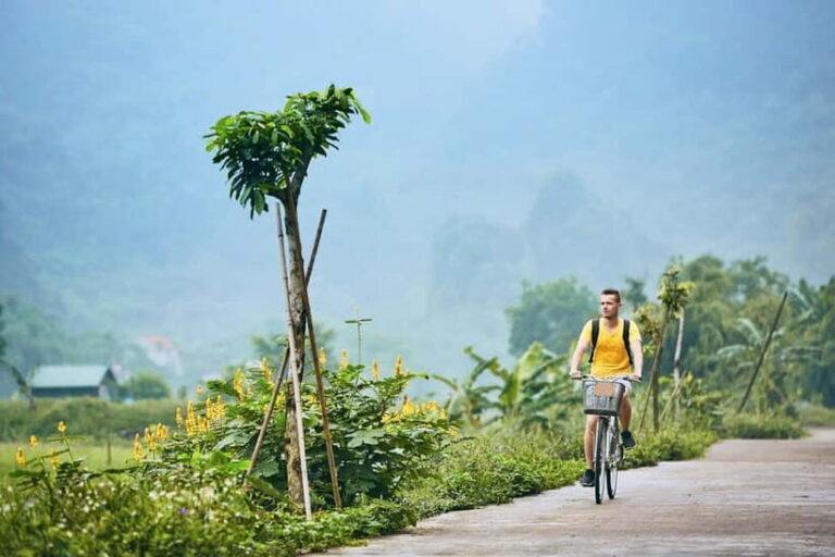 Chiang Mai Bicycle: Into The Lanna Countryside Guided Tour - Analyzing the Value & Cost