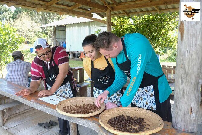 Chiang Mai Coffee Tour: Trekking to Farm, Roast and Brew Workshop - The Sum Up