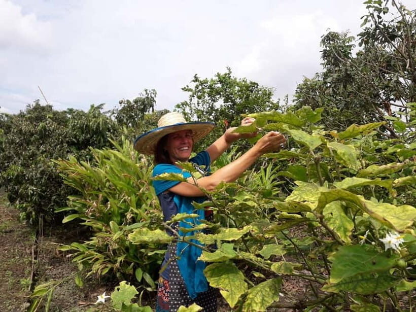 Chiang Mai: Cooking in Organic Farm with a Local Train Trip - What Makes This Experience Stand Out?