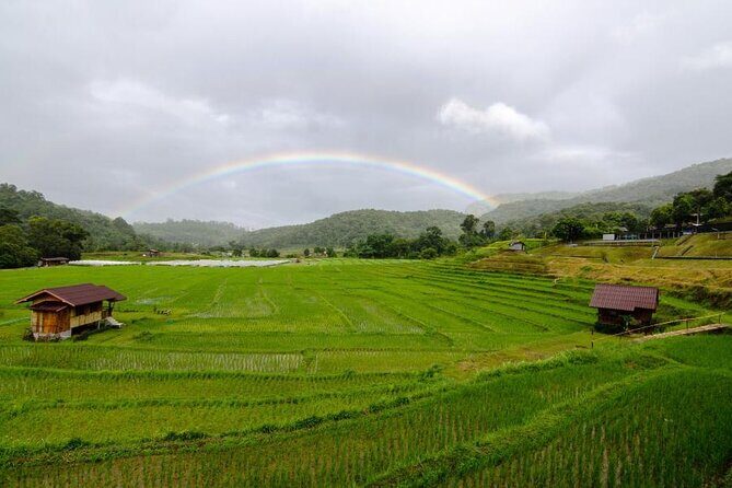 Chiang Mai - Doi Inthanon Full day Tour - What Travelers Say