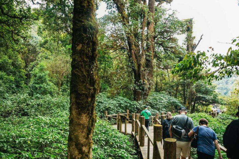 Chiang Mai: Doi Inthanon National Park Eco-Friendly Tour - What Travelers Are Saying