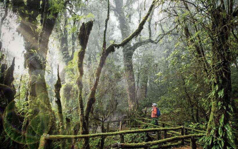 Chiang Mai: Doi Inthanon National Park Sightseeing Only - What to Expect Throughout the Day