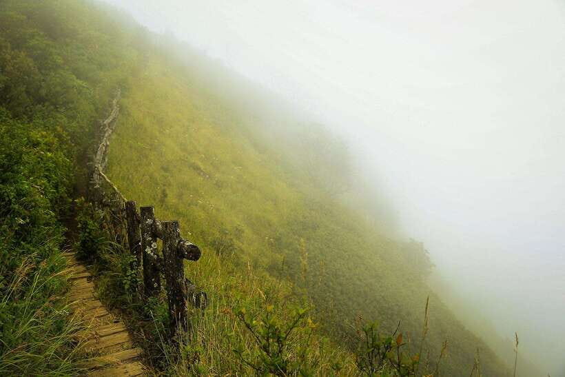 Chiang Mai: Doi Inthanon National Park, Waterfall & Lunch - A Full Breakdown of the Doi Inthanon Tour