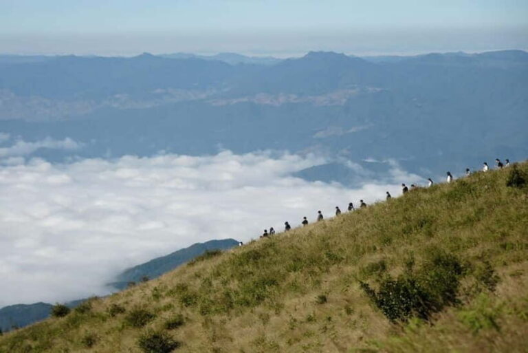 Chiang Mai: Doi Inthanon Park and Kew Mae Pan 2-Hour Hike - What Travelers Are Saying