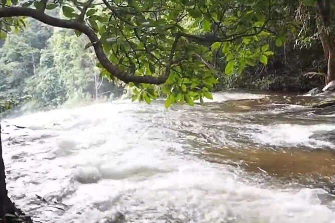 CHIANG MAI: Doi Inthanon-Trekking Pha Dok Seaw-Waterfall-Lunch - Doi Inthanon: Towering Peaks and Cultural Landmarks