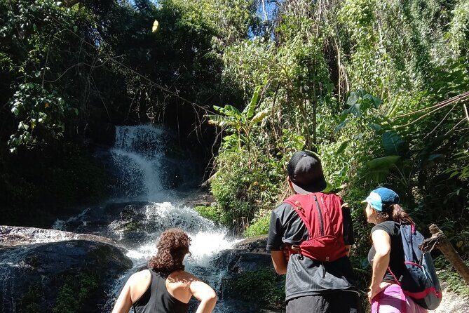 Chiang Mai: Doi Suthep Summit Trek 7 Hour Pure Hiking Adventure - The Challenge and the Rewards