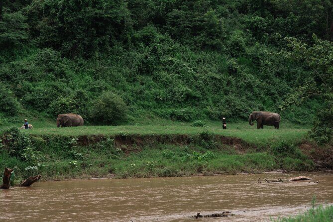 Chiang Mai Elephant Sanctuary, Bamboo Rafting and Waterfall Tour - First Stop: Bua Thong Waterfalls (Nam Phu Chet Si)
