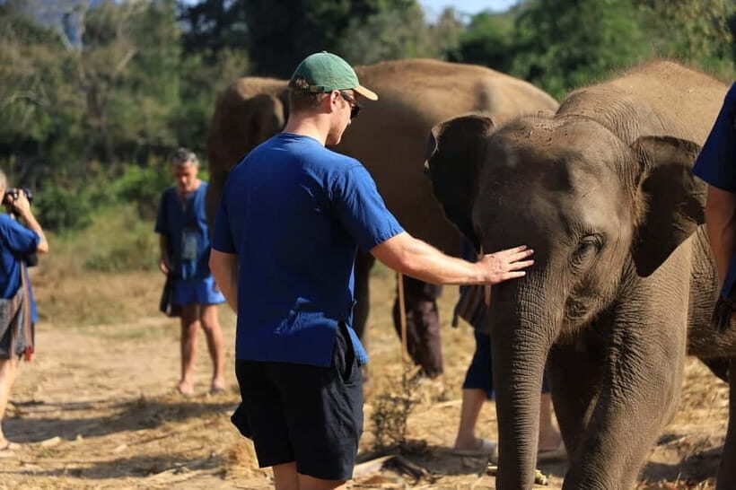 Chiang Mai: Elephant Sanctuary & Bamboo Rafting - What to Expect from the Tour