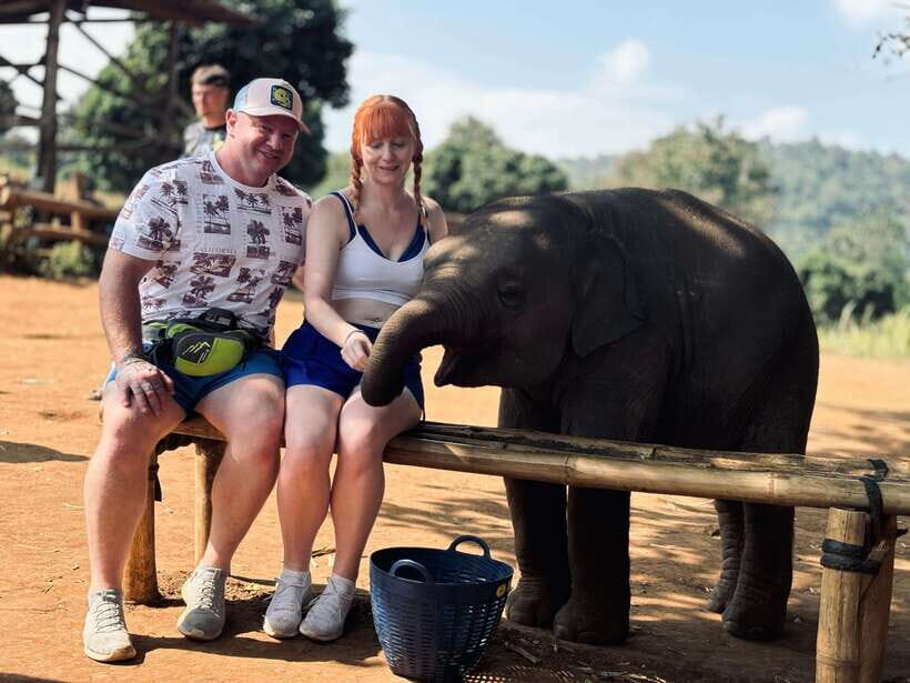Chiang Mai: Elephant Sanctuary Feeding Program Half-Day Tour - Key Points