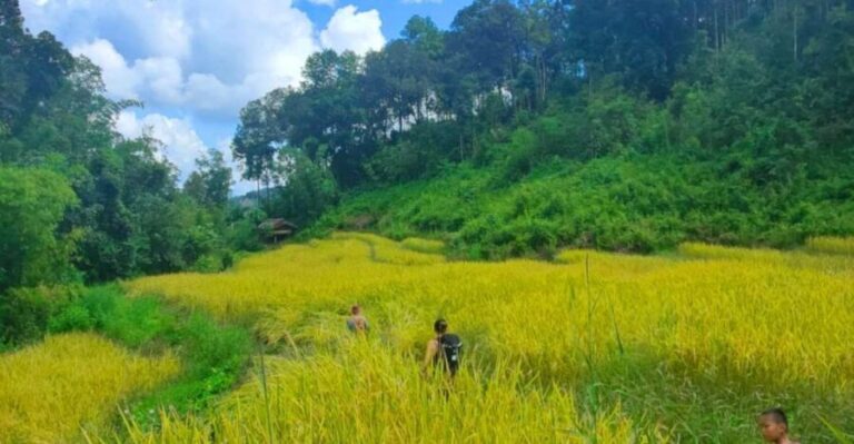 Chiang Mai: Elephant Sanctuary & Jungle Trek w/ Waterfall - Whats Included and What to Prepare
