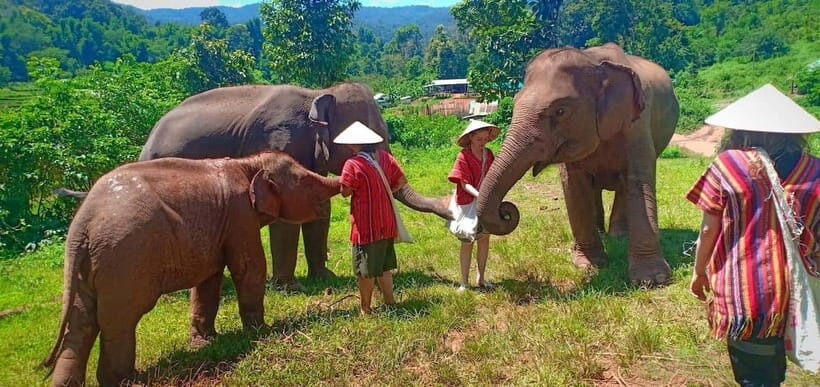 Chiang Mai: Elephant Sanctuary Local Hill Tribe Caretakers - What’s Included and What’s Not