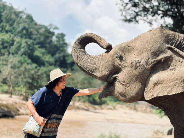 Chiang Mai: Elephant Sanctuary, Long Neck & Sticky Waterfall - The Experiences Value and Practical Insights