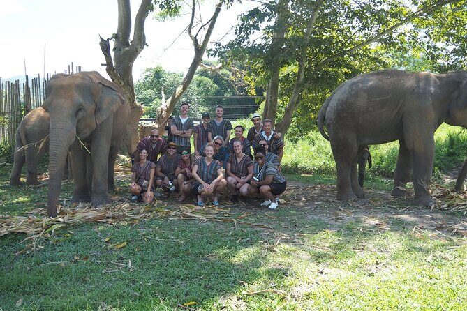 Chiang Mai Elephant Sanctuary Small Group Ethical Tour - Why This Tour Is a Great Choice