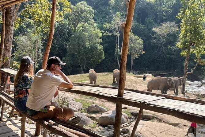 Chiang Mai Elephant Watch and Wang River Rafting - Authenticity and Value