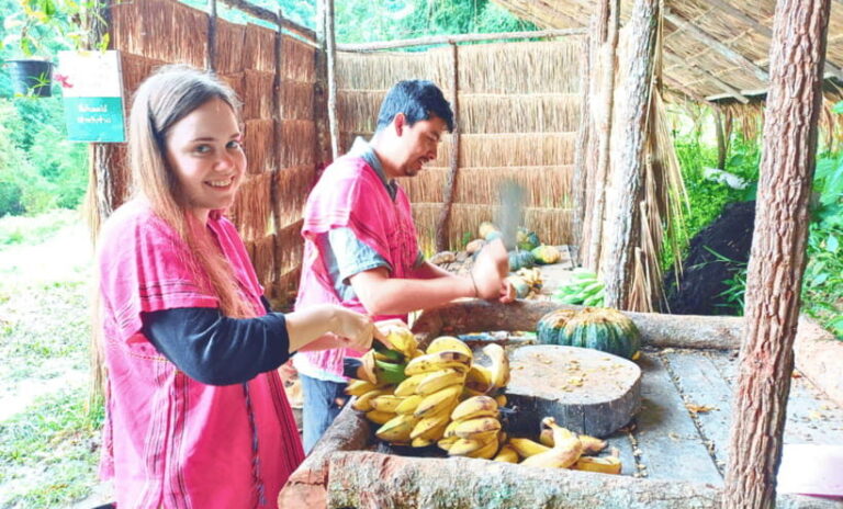 Chiang Mai: Ethical Half Day Elephant Sanctuary & Waterfall - Authenticity and Ethical Focus: Why It Matters