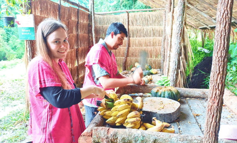Chiang Mai: Ethical Half Day Elephant Sanctuary & Waterfall - Authenticity and Ethical Focus: Why It Matters
