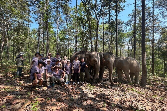 Chiang Mai Half Day Tour: Doi Inthanon Elephant Sanctuary - Practical Details and Considerations