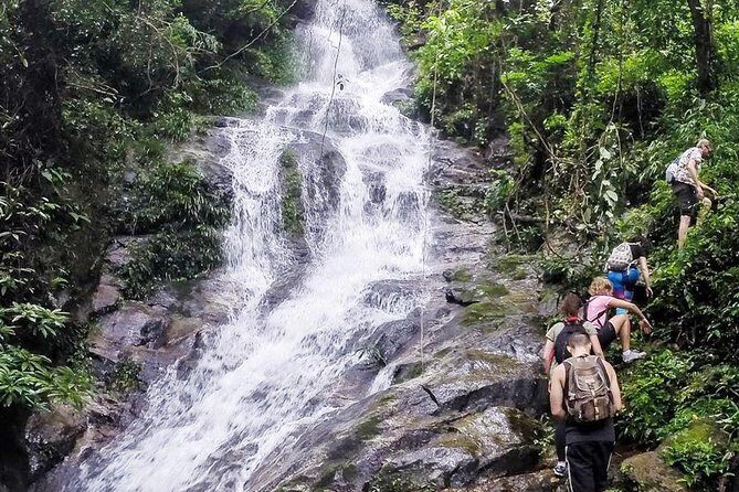 Chiang mai Hike & Downhill Bike Adventure Suthep National Park - Whats Included: Convenience and Safety