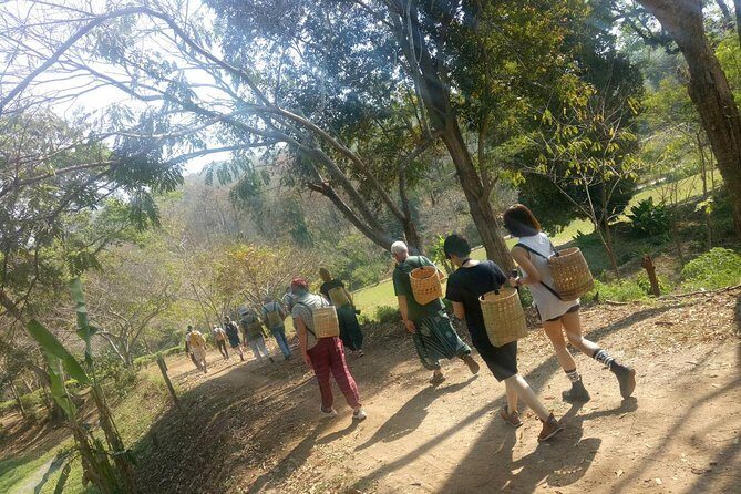 Chiang Mai Private Tour with Tea Plantation, Karen Village, Doi Suthep - What Sets This Tour Apart