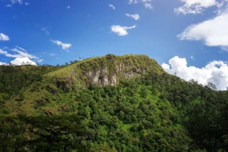 Chiang Mai : Thep Sadet & Coffee Plantation Full Day Hiking - Who Is This Tour Perfect For?