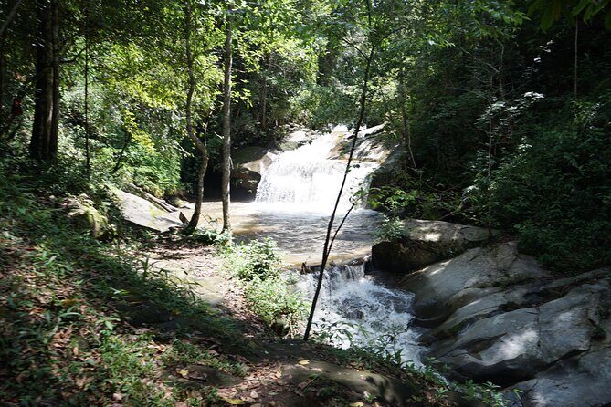 Chiang Mai Trekking Tour :Full day (no rafting) - Practical Details and What You Need to Know