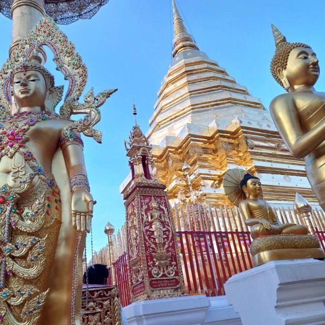 Chiang Mai: Wat Pha Lat & Wat Phra That Doi Suthep Tour - The Transport and Guides