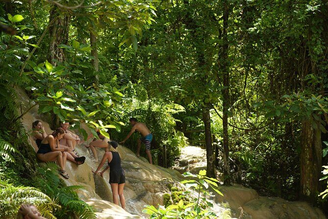 Chiang Mai:Sticky Waterfall Adventure and Bua Tong Huge Cave Tour - What Travelers Are Saying