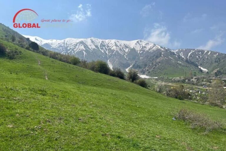 Chimgan Day Tour from Tashkent - What to Expect on the Day
