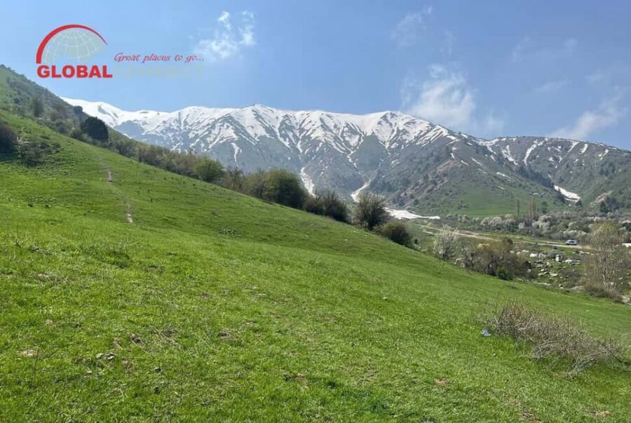 Chimgan Day Tour from Tashkent - What to Expect on the Day