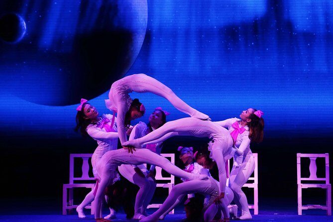 China Acrobatics Show and Shanghai Evening Tour - Who Should Consider This Tour?