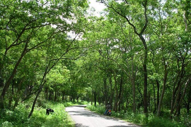 Chinnar Wild-life Visiting Tour (Eravikulam National Park) - Transportation and Overall Experience