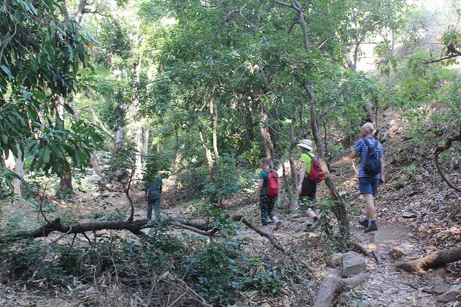 Chinnar wild valley experience day tour ( By Munnar Info) - Evaluating the Value