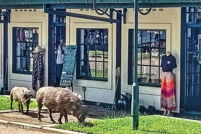 Chinotimba Township Tour in 4wd - Authenticity and Value
