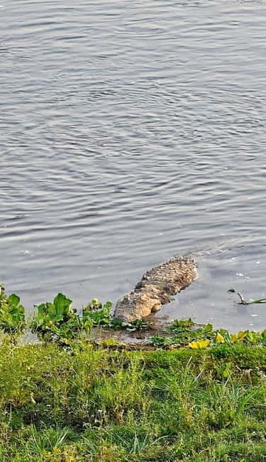 Chitwan: 2 Full day jungle walk with Canoeing all inclusive - The Value of the Tour