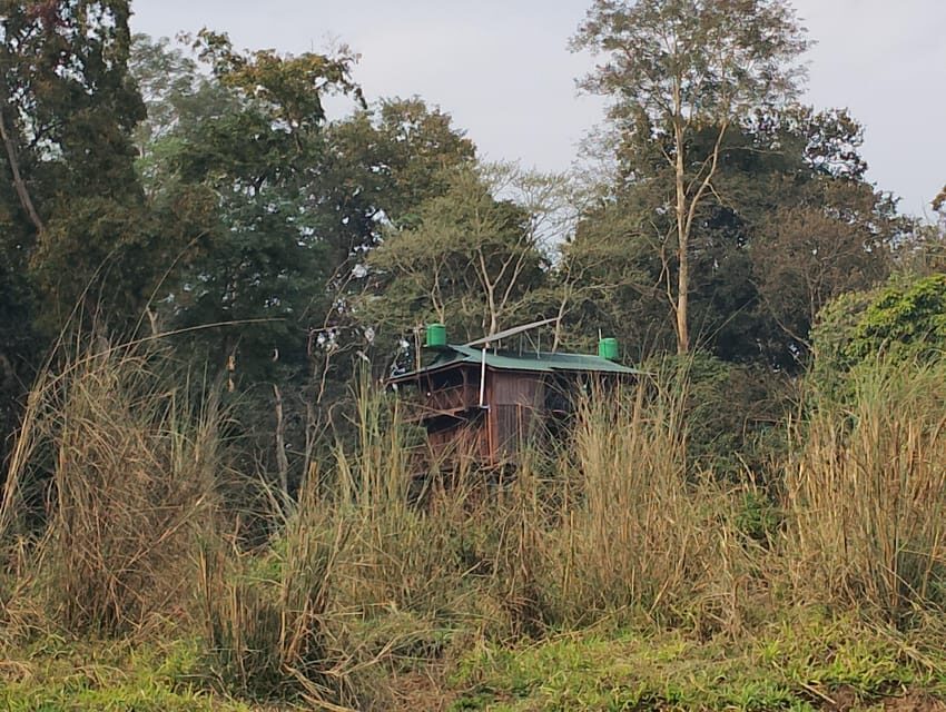 Chitwan: jungle One Night Towerstay in chitwan national park - What’s the Value?