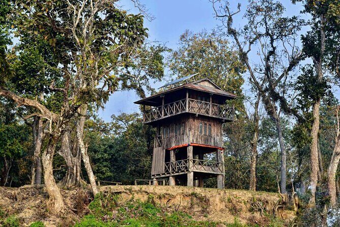 Chitwan Jungle Safari 3-Day Tour - What Makes This Tour Stand Out?