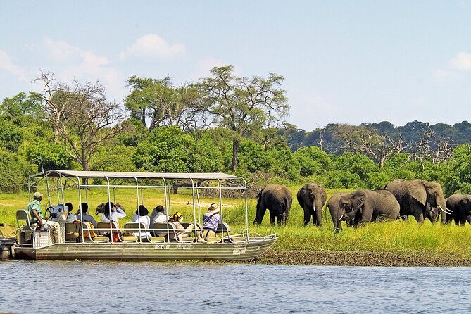 Chobe Boat Cruise & Game Drive Day Trip From Livingstone - Authentic Encounters and Real Reviews