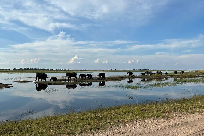 Chobe Day Trip from Victoria Falls - The Practical Side: Transport, Price, and Group Size
